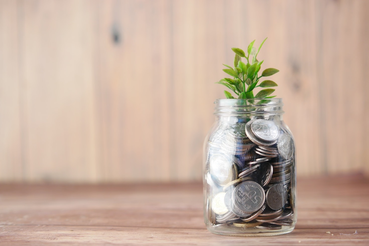 How Relationships Define Life’s Wealth
